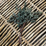 Foam Berry Bunch 11.75”