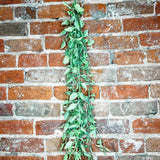 Trailing Bush 32 Inch