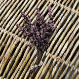 Foam Berry Bunch 11.75”