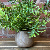 Debossed Stoneware Planter 5.3”