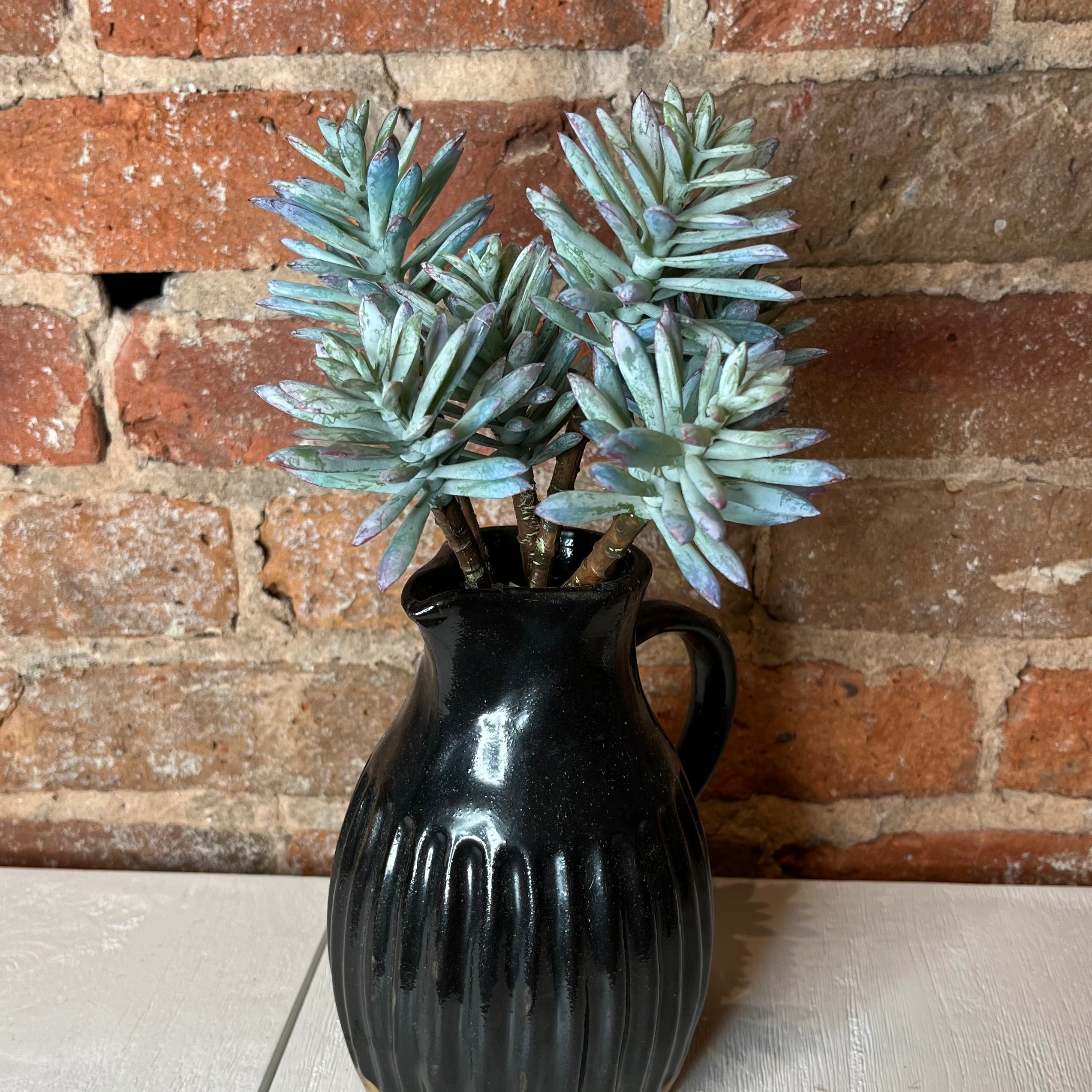 a spiny succulent Blue/Sage Spiny Succulent Spray 11” – MarketPlaceManning