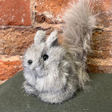 Furry Grey Squirrel Orn. 5.5”