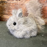 Furry Grey Squirrel Orn. 5.5”