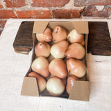Cream & Tan Boxed Pears 2.75” Set of 12