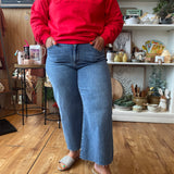 Plus Judy Blue Wide Crop Jeans