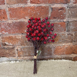 Red Glitter Berry Bundle 11”