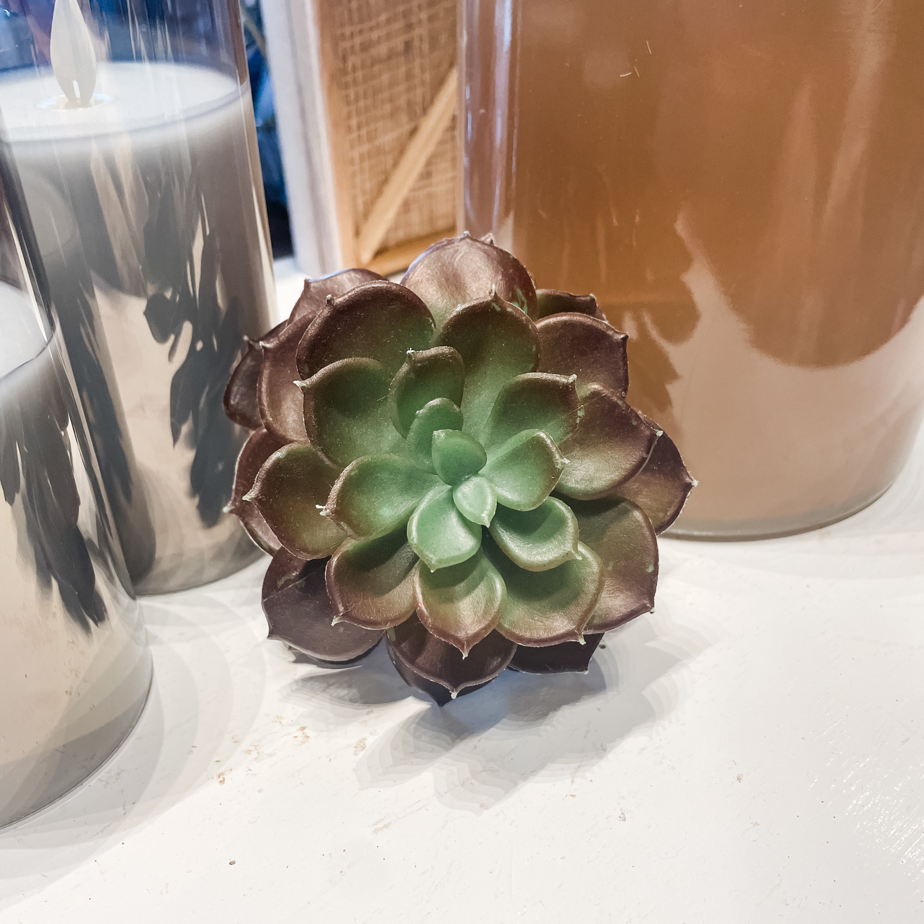 echeveria purple succulents Echeveria Purple Succulent – MarketPlaceManning