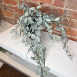 Cream/Green Mini Fittonia Bush/Vine 15”