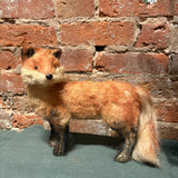 Brown Sisal Fox