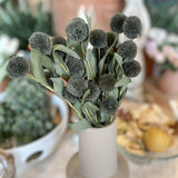 Pompom Pick w/ Green Eva Leaves Bundle 13"