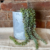 Green/Sage/Pink Jelly Bean Succulent 21”