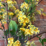 Yellow Wild Blossom Spray 39"