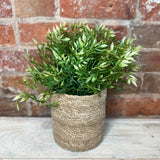 Wisteria Half Orb 10"