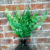 Soft Touch Maidenhair Bush 15”