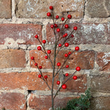 Outdoor Red Berry Spray 18”