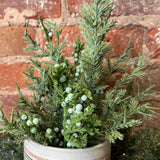 Mixed Juniper Spray w/ Mini Green Berries 15”