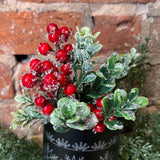 Iced Boxwood & Berry Mini Pick 8”