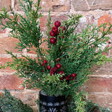 Soft Green Cedar Bush w/ Red Berries 17”