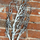 Frosted Birch Branch 59"