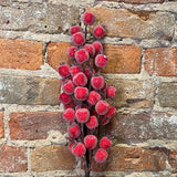 Red Frosted Large Berry Spray 24.5"