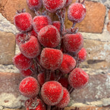 Red Frosted Large Berry Spray 24.5"