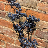 Washed Wild  Currant Berry Spray 26”