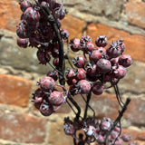 Washed Wild  Currant Berry Spray 26”