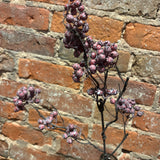 Washed Wild  Currant Berry Spray 26”