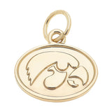 Iowa Hawkeye Shiny Gold Logo Charm