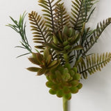 Succulent Fern Pick 14in