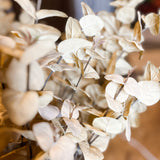 Silver Dollar Eucalyptus Stem 35.5”