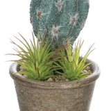 Brown Pot Rock Cactus