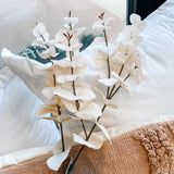 Silver Dollar Eucalyptus Stem 35.5”