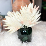 Bleached Palm Bush 15.5”