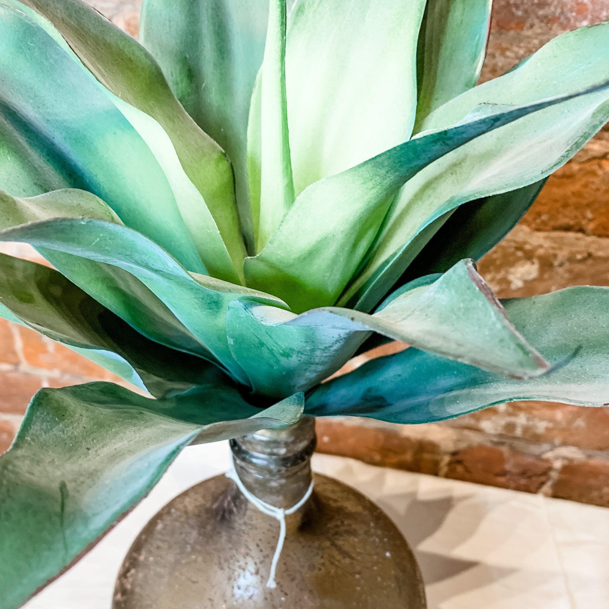 Agave Plant Pick 10.5" - MarketPlaceManning