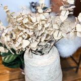 Silver Dollar Eucalyptus Stem 35.5”