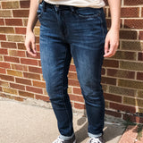 Plus Alice Basic Skinny Judy Blues