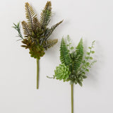 Succulent Fern Pick 14in