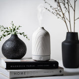 Ceramic Glass Diffuser