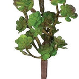 Green Succulent Pick