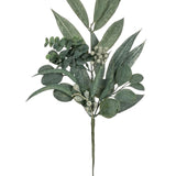 California Eucalyptus spray 22 in