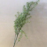 Asparagus Fern Stem 36 in. - MarketPlaceManning
