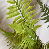 Mountain Green Fern Spray 45in
