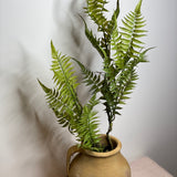 Mountain Green Fern Spray 45in