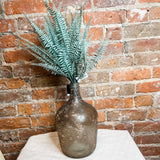 Powdered Fern Bush 20"