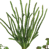 Green Succulent Pick