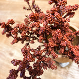 Foam Berry Bunch 11.75”