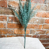 Powdered Fern Bush 20"