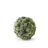 Succulent Ball 4 in.