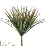 Wild Grass Pick 11.5in